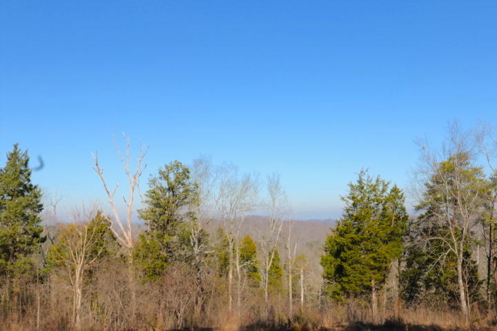 1 Reagan Valley Road Tellico Plains, TN 37385 - Photo 22 of 40 IMG_5995