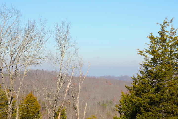 1 Reagan Valley Road Tellico Plains, TN 37385 - Photo 23 of 40 IMG_5996