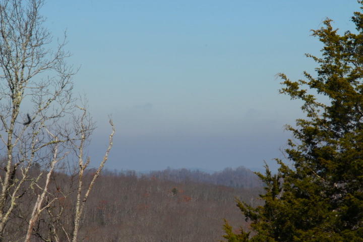 1 Reagan Valley Road Tellico Plains, TN 37385 - Photo 24 of 40 IMG_6000
