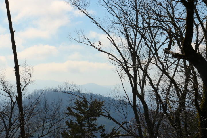 1 Reagan Valley Road Tellico Plains, TN 37385 - Photo 25 of 40 IMG_6002