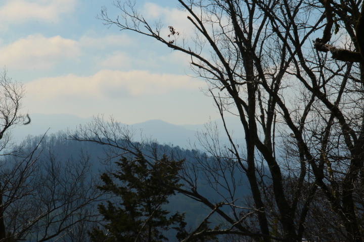 1 Reagan Valley Road Tellico Plains, TN 37385 - Photo 26 of 40 IMG_6003