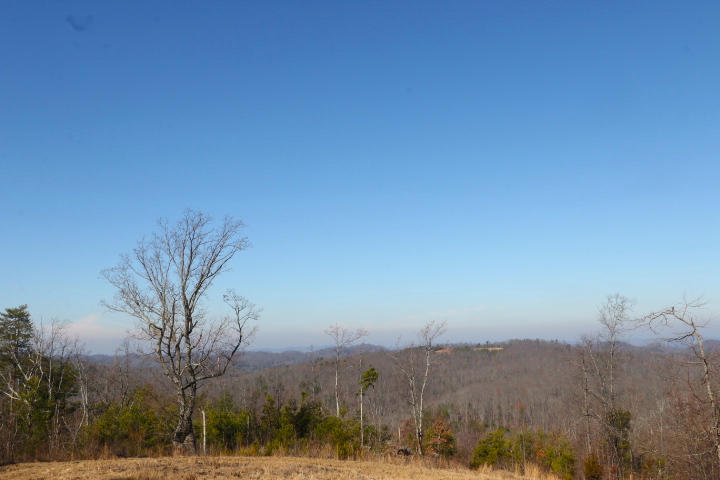 1 Reagan Valley Road Tellico Plains, TN 37385 - Photo 27 of 40 IMG_6032