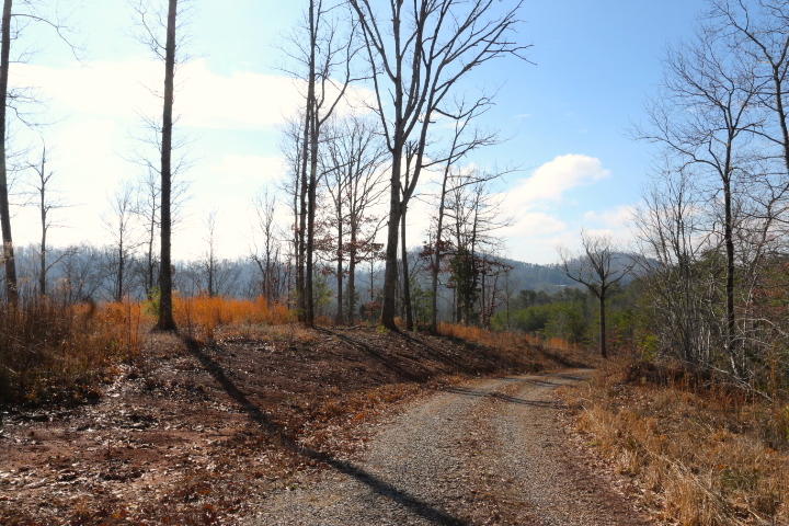 1 Reagan Valley Road Tellico Plains, TN 37385 - Photo 28 of 40 IMG_5965