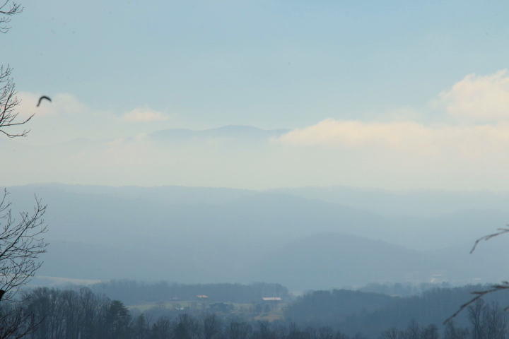 1 Reagan Valley Road Tellico Plains, TN 37385 - Photo 4 of 40 IMG_6011
