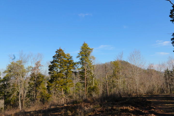 1 Reagan Valley Road Tellico Plains, TN 37385 - Photo 32 of 40 IMG_5993