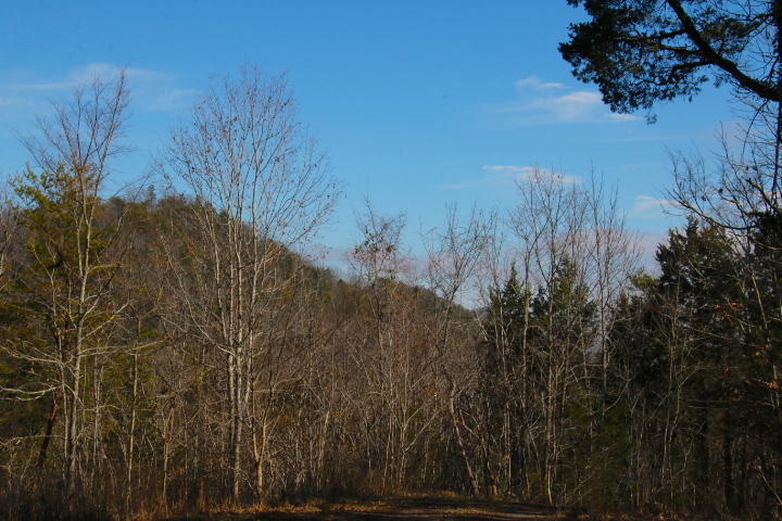 1 Reagan Valley Road Tellico Plains, TN 37385 - Photo 33 of 40 IMG_6001
