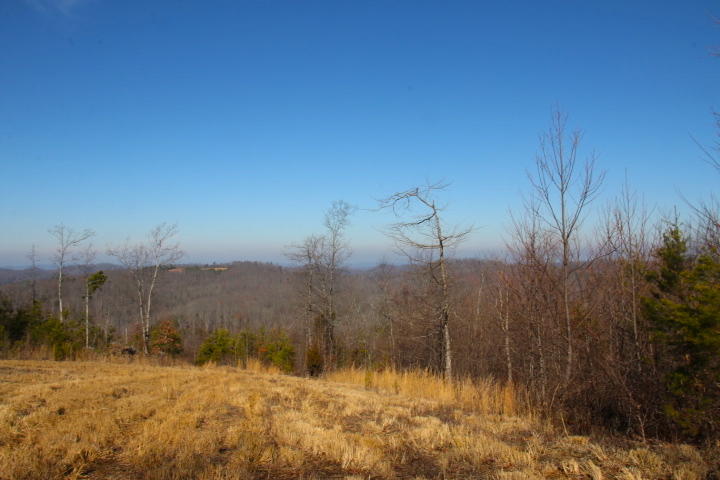 1 Reagan Valley Road Tellico Plains, TN 37385 - Photo 34 of 40 IMG_6013