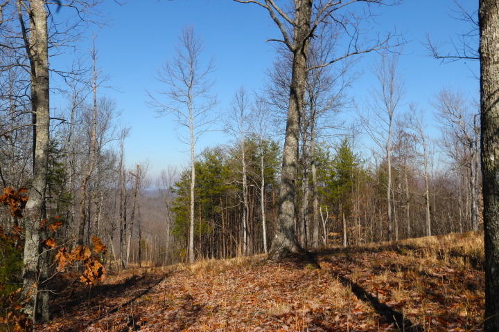 1 Reagan Valley Road Tellico Plains, TN 37385 - Photo 35 of 40 IMG_6031