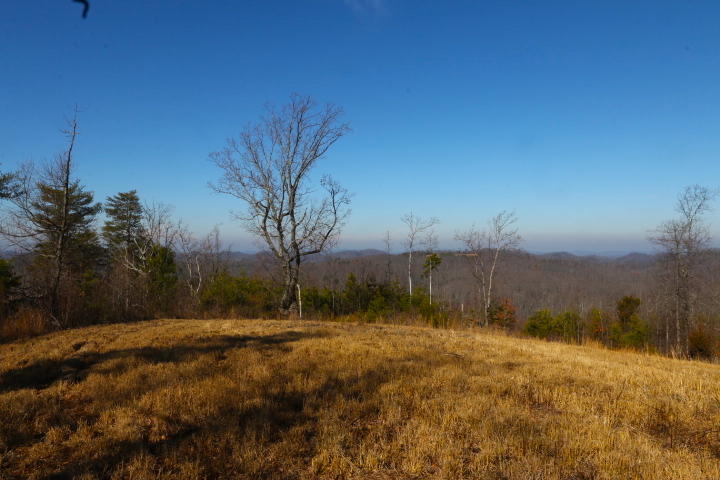 1 Reagan Valley Road Tellico Plains, TN 37385 - Photo 36 of 40 IMG_6021