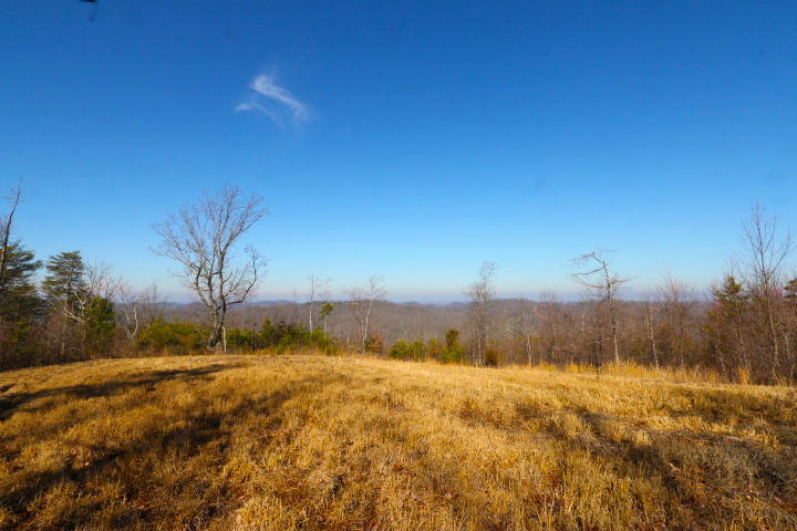 1 Reagan Valley Road Tellico Plains, TN 37385 - Photo 37 of 40 IMG_6023