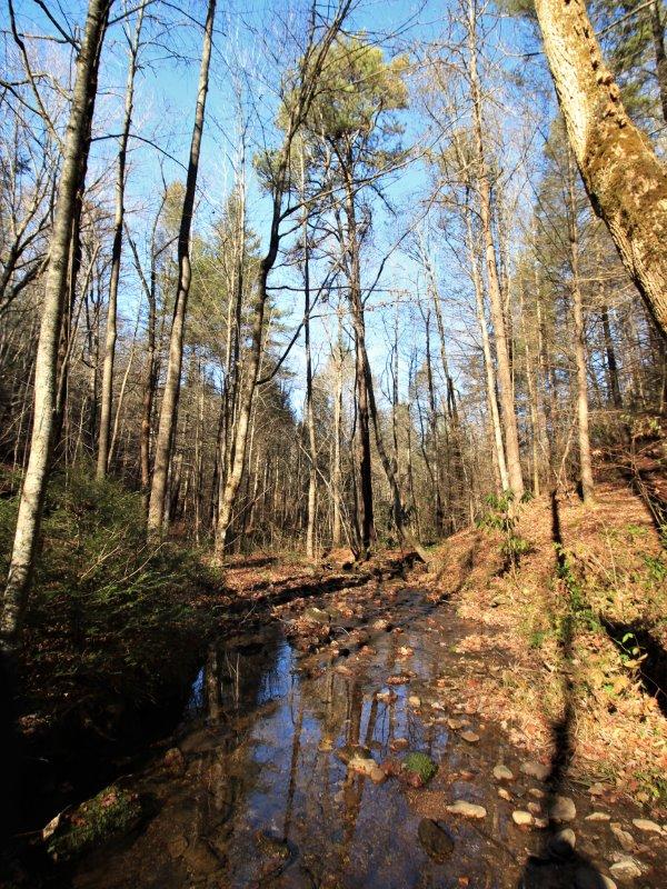 1 Reagan Valley Road Tellico Plains, TN 37385 - Photo 38 of 40 IMG_3801