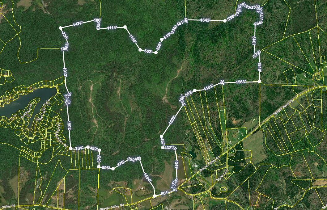 1 Reagan Valley Road Tellico Plains, TN 37385 - Photo 40 of 40 1 Reagan Valley Rd. Aerial