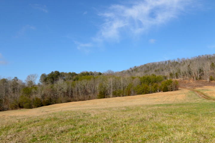 1 Reagan Valley Road Tellico Plains, TN 37385 - Photo 5 of 40 IMG_5959