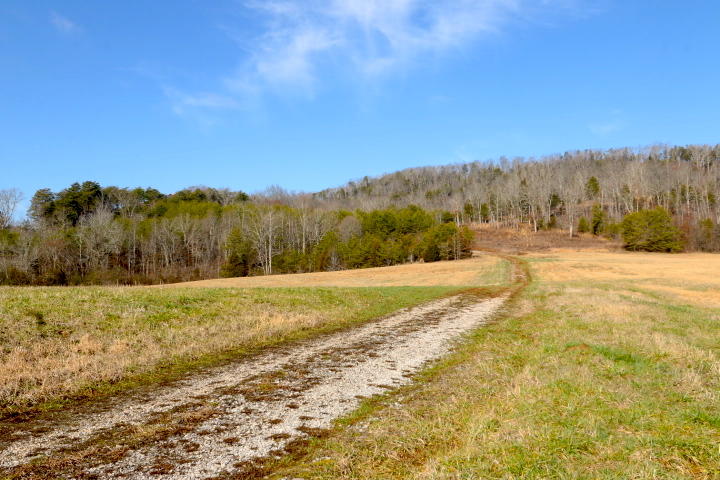 1 Reagan Valley Road Tellico Plains, TN 37385 - Photo 6 of 40 IMG_5955
