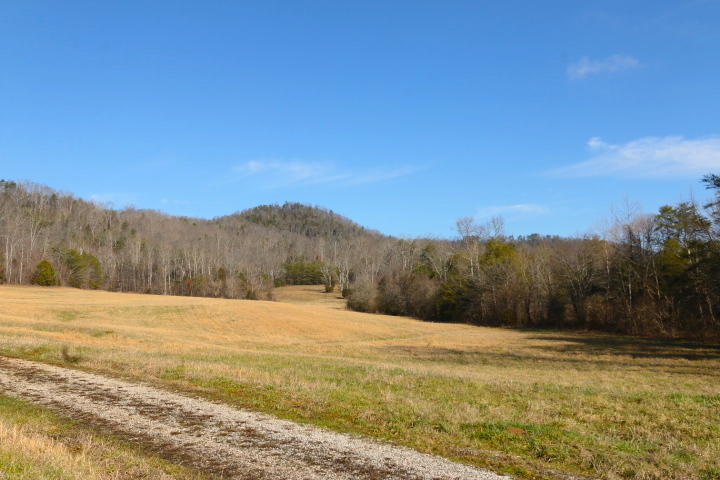 1 Reagan Valley Road Tellico Plains, TN 37385 - Photo 7 of 40 IMG_5960