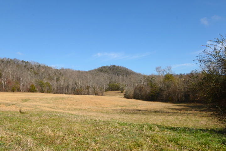 1 Reagan Valley Road Tellico Plains, TN 37385 - Photo 8 of 40 IMG_5957