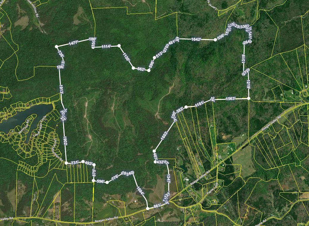 1 Reagan Valley Road Tellico Plains, TN 37385 - Photo 9 of 40 Laurel Mtn LLC 800 ac Aerial