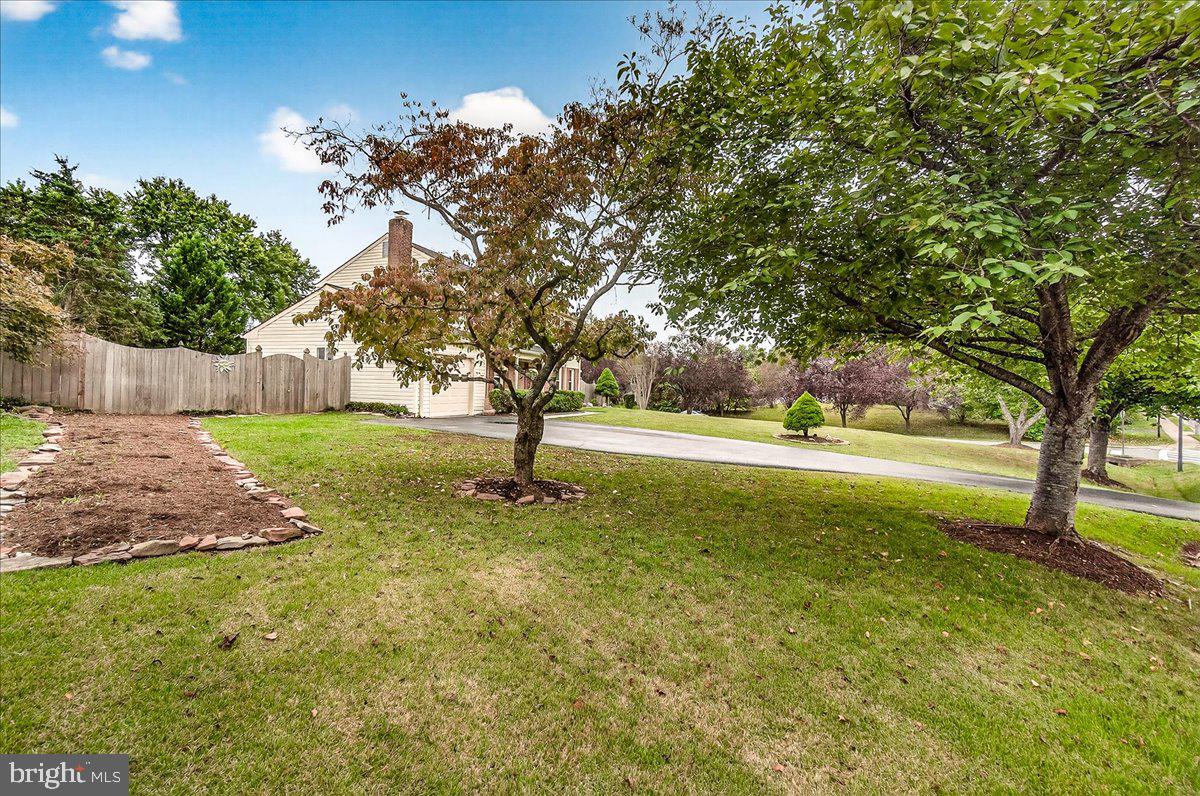 19624 Westerly Avenue Poolesville, MD 20837 - Photo 43 of 44 a view of backyard with tree