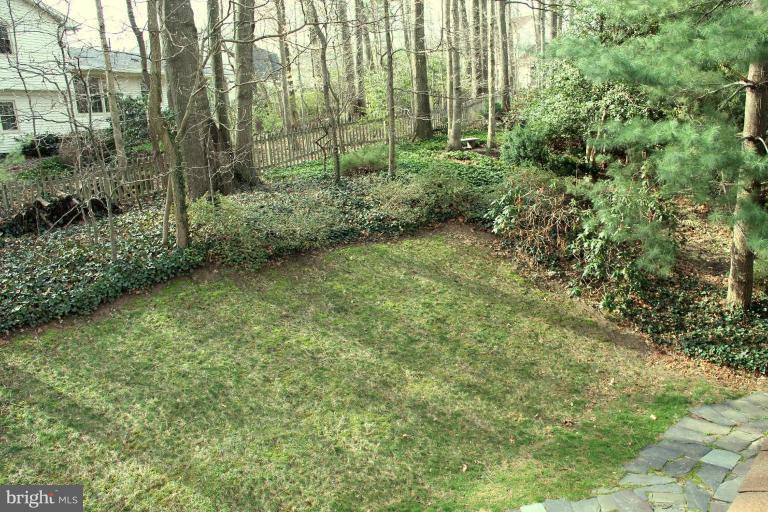 9845 Natick Road Burke, VA 22015 - Photo 29 of 30 Deck - View from