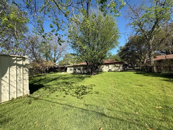 a view of a yard with plants and trees