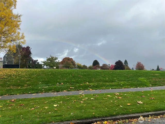 a view of a road with a yard