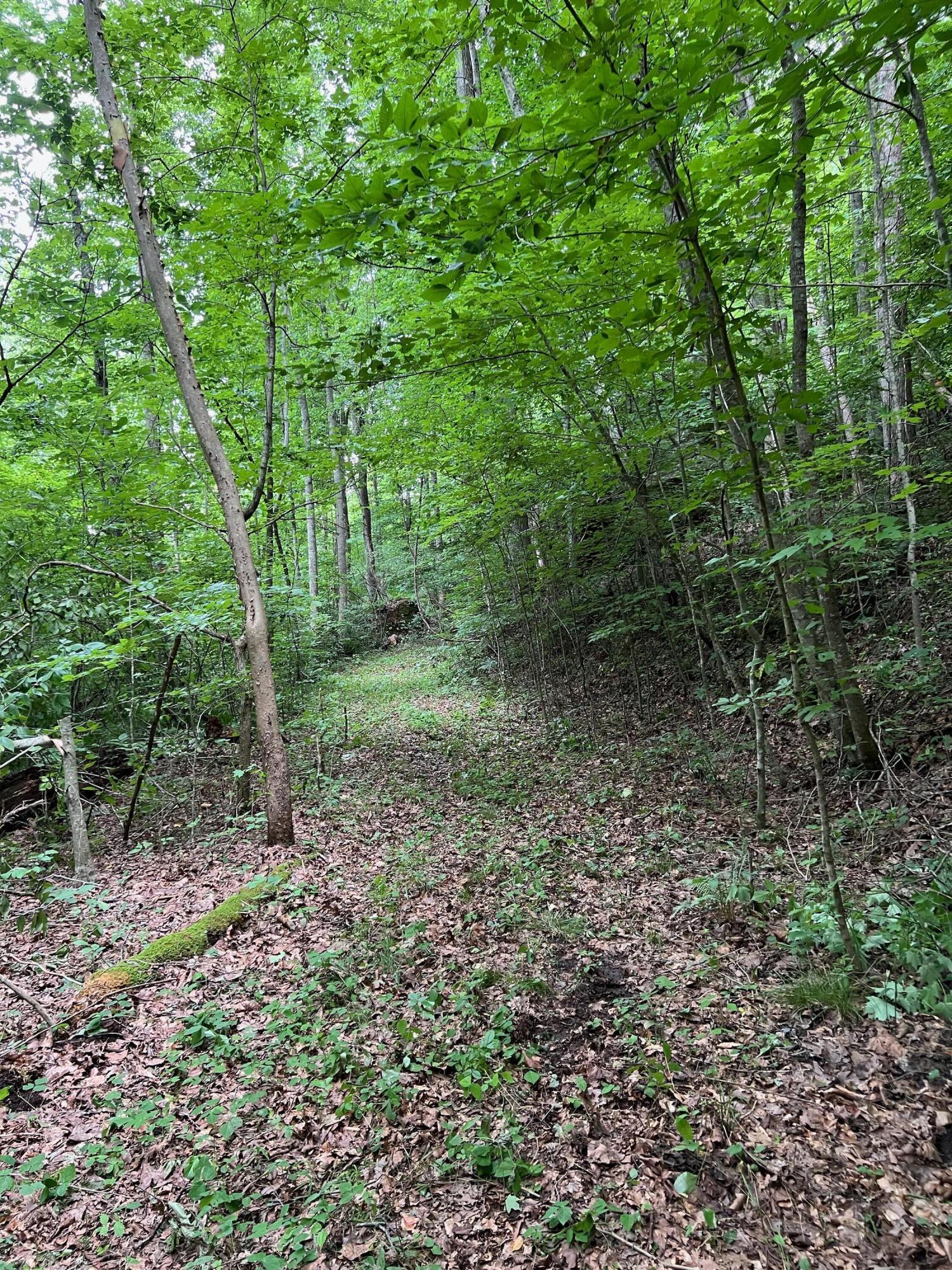 7000 North Fork Road Stanton, KY 40380 - Photo 32 of 35 IMG_1616