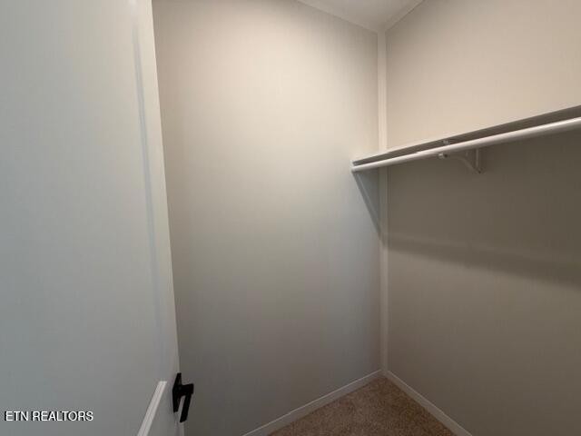 602 Reed Drive Powell, TN 37849 - Photo 19 of 23 Gallery Image 19