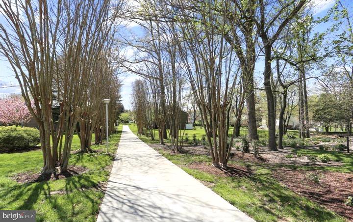15115 Interlachen Drive, Unit 3812 Silver Spring, MD 20906 - Photo 37 of 46 a park with large trees and a pathway