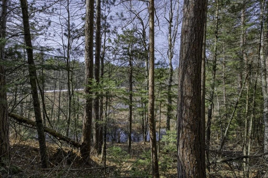 Off Natural Springs Road Presque Isle, WI 54557 - Photo 12 of 27 Gallery Image 12