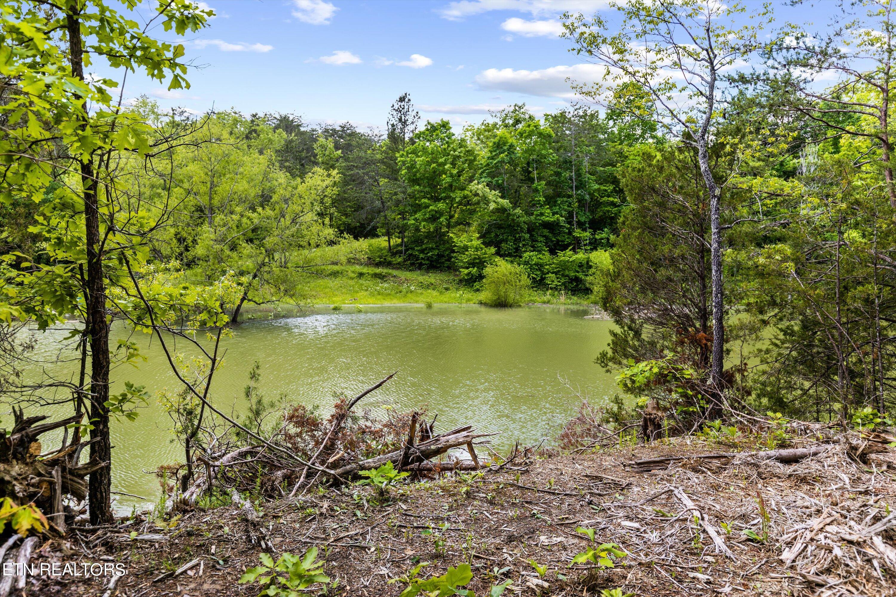 1741 Gator Point Road Sevierville, TN 37876 - Photo 4 of 16 07-1741 Gator Point Rd010