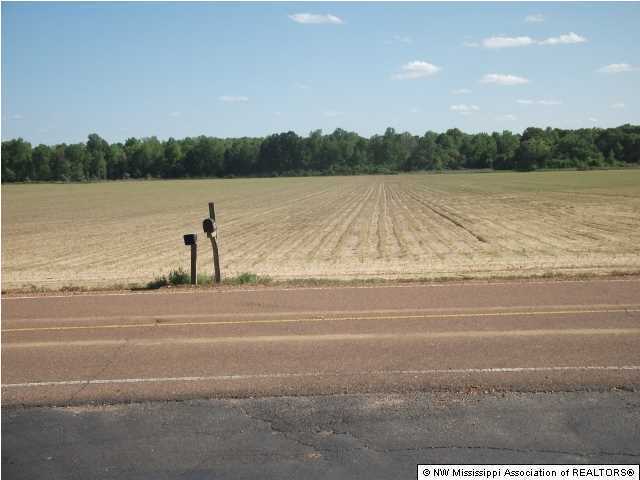 2800 Dean Road Nesbit, MS 38651 - Photo 13 of 16 Additional Photo