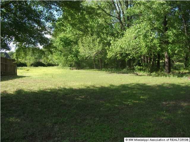 2800 Dean Road Nesbit, MS 38651 - Photo 14 of 16 Additional Photo