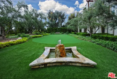a view of a garden with plants