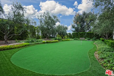 a view of a park with large trees