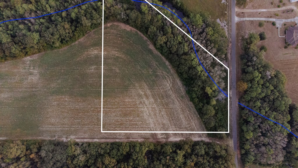0 South County Road 83 Samson, AL 36477 - Photo 2 of 8