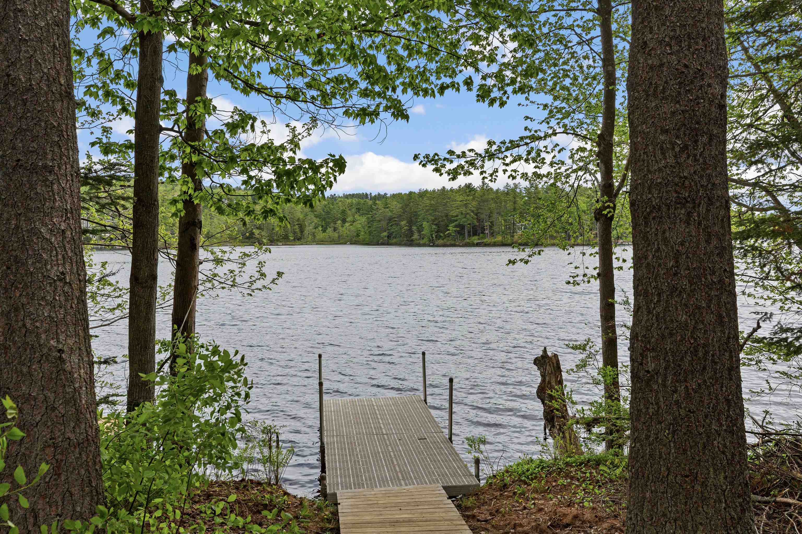 217 Forest Acres Road New London, NH 03257 - Photo 4 of 44