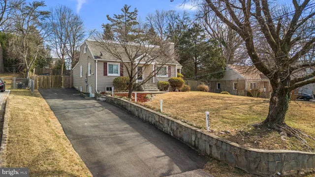 a view of a yard with trees