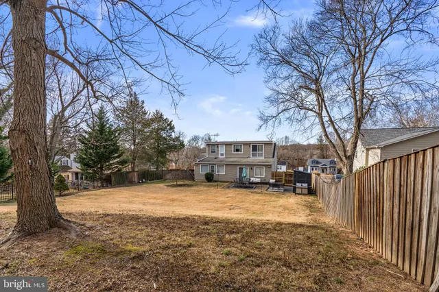 a view of a yard with a tree