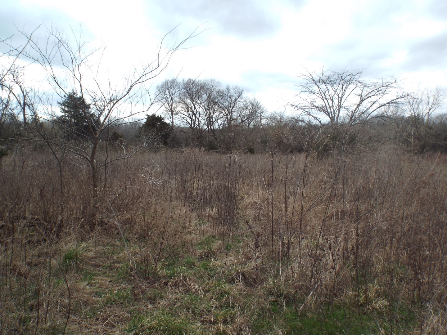 6294 Snail Shell Cave Road Rockvale, TN 37153 - Photo 11 of 26