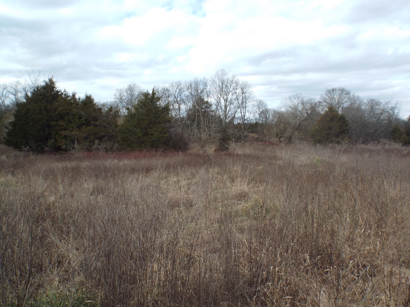 6294 Snail Shell Cave Road Rockvale, TN 37153 - Photo 12 of 26