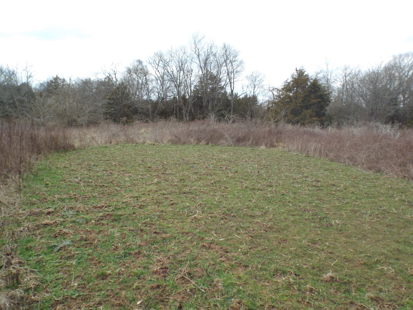 6294 Snail Shell Cave Road Rockvale, TN 37153 - Photo 13 of 26