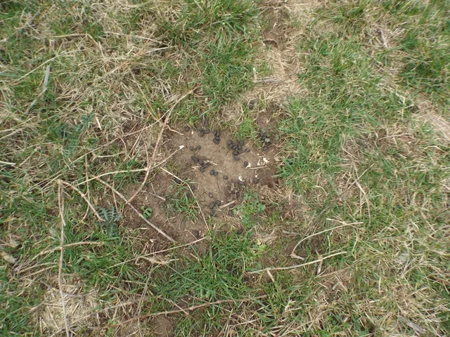 $2,750,000 | 6294 Snail Shell Cave Road, Rockvale, TN 37153