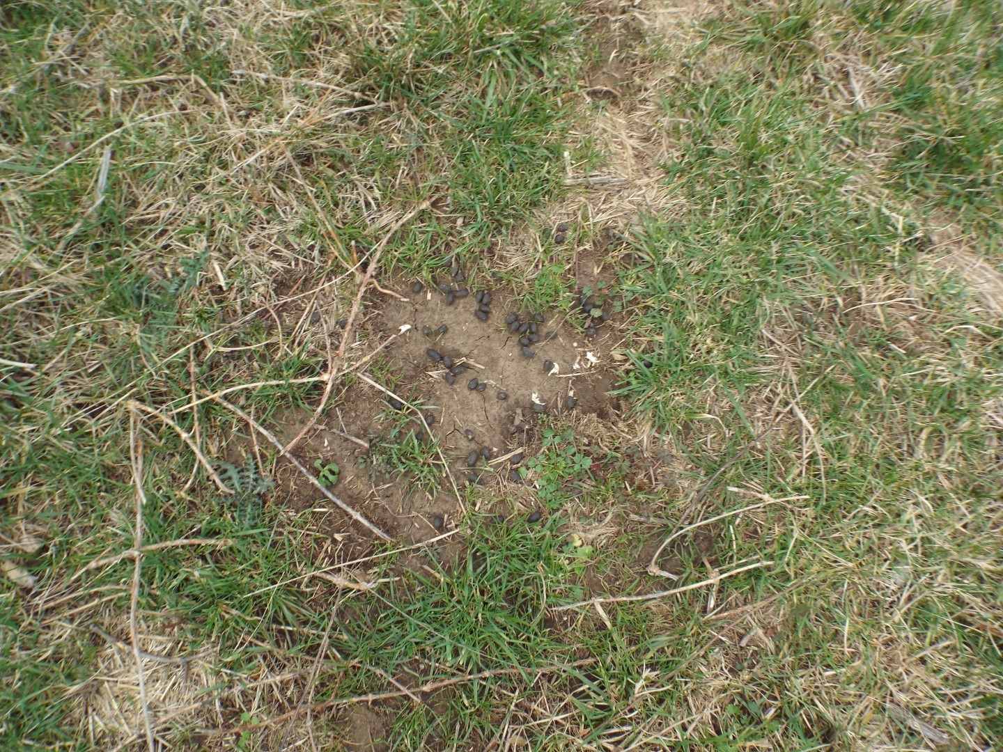 6294 Snail Shell Cave Road Rockvale, TN 37153 - Photo 14 of 26