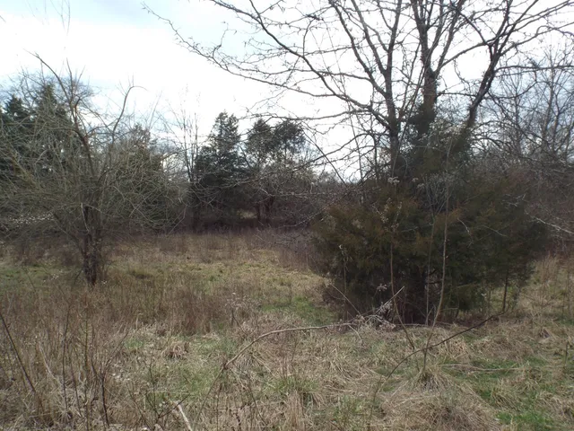 $2,750,000 | 6294 Snail Shell Cave Road, Rockvale, TN 37153