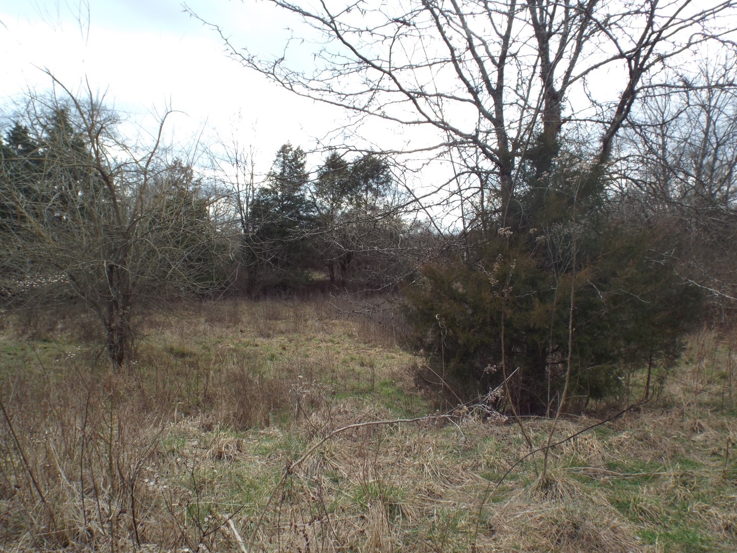 6294 Snail Shell Cave Road Rockvale, TN 37153 - Photo 15 of 26