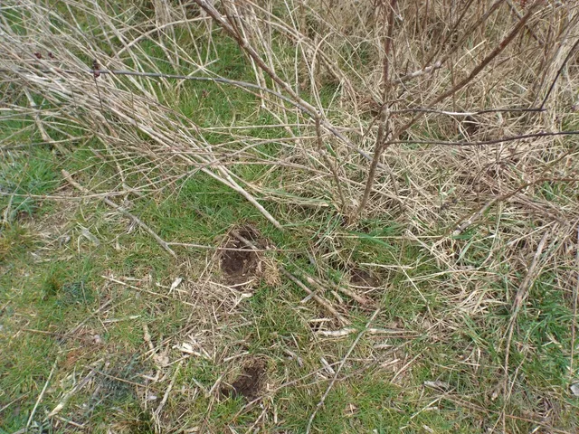 $2,750,000 | 6294 Snail Shell Cave Road, Rockvale, TN 37153