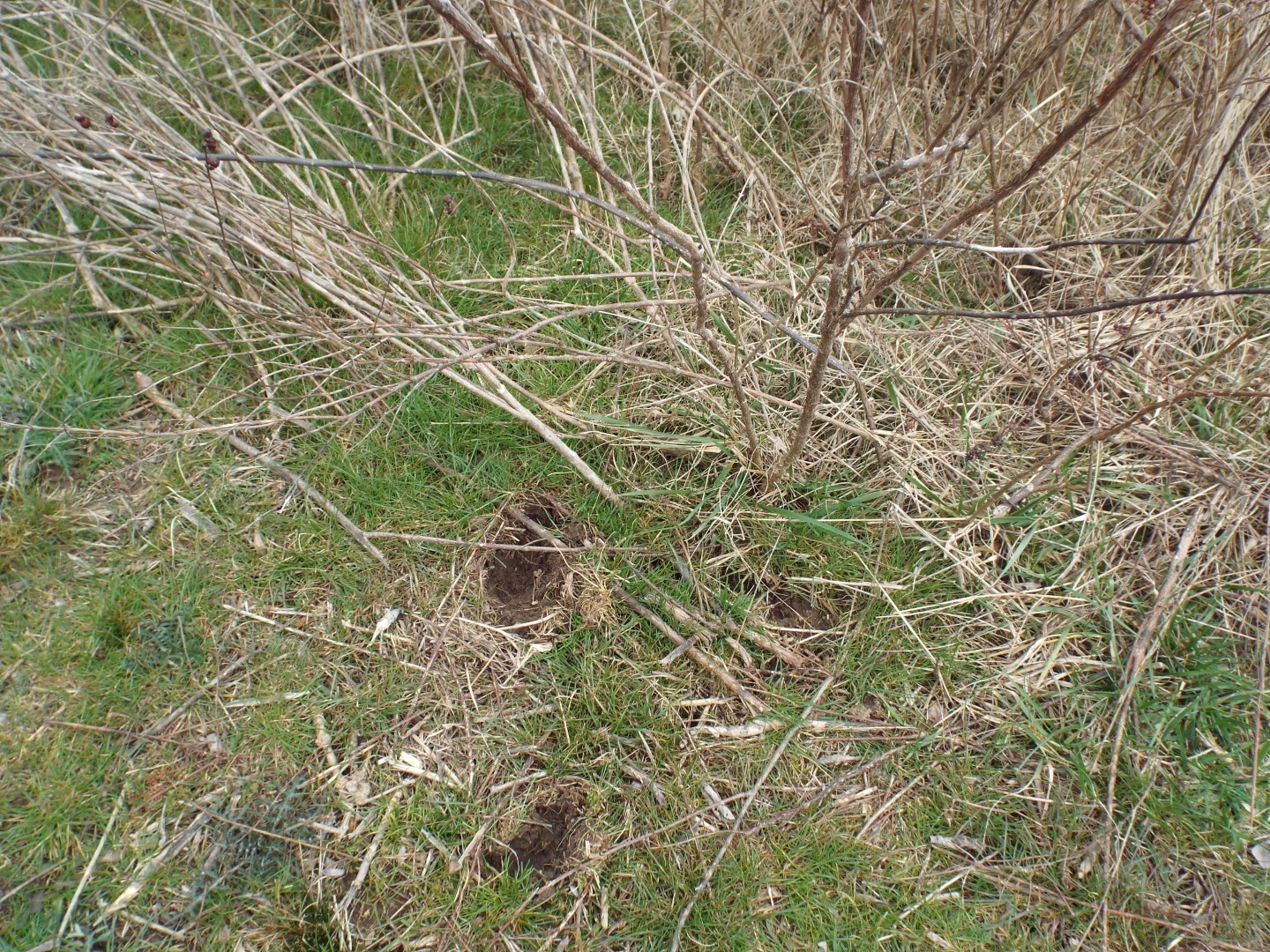 6294 Snail Shell Cave Road Rockvale, TN 37153 - Photo 16 of 26