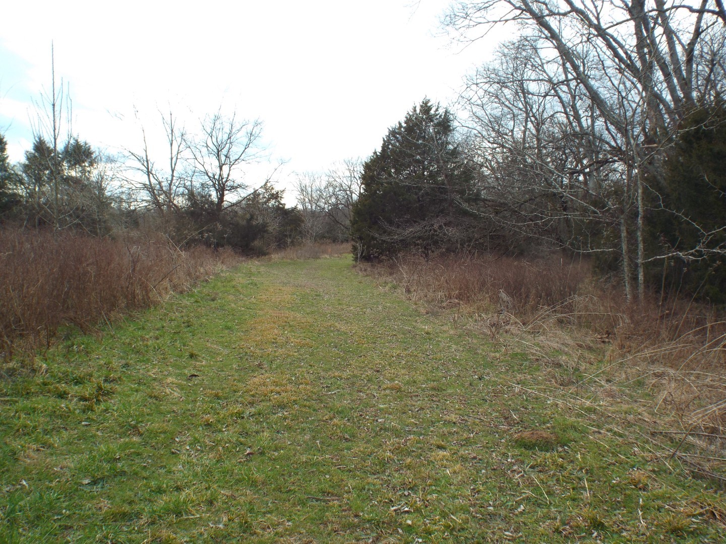 6294 Snail Shell Cave Road Rockvale, TN 37153 - Photo 17 of 26