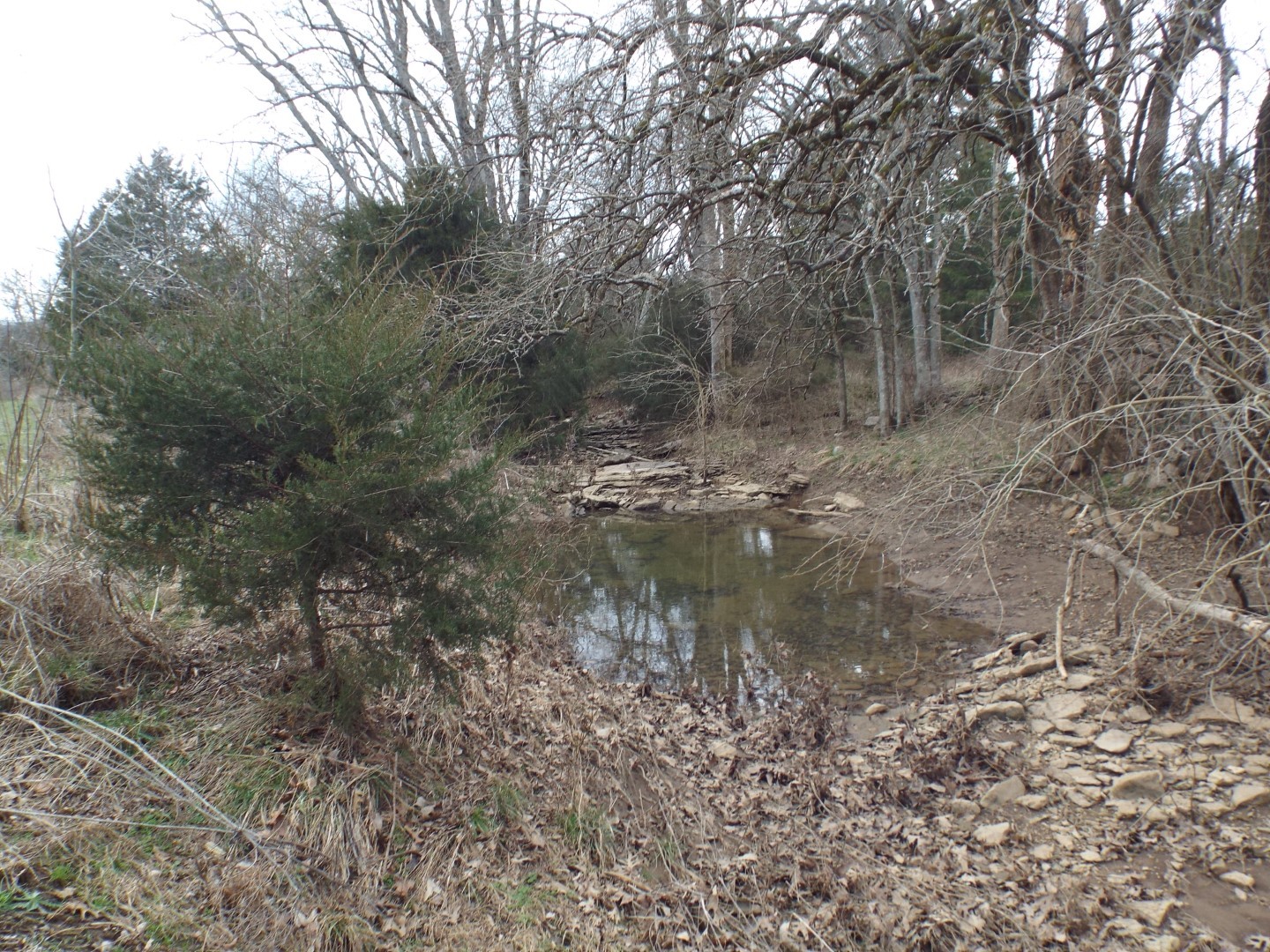 6294 Snail Shell Cave Road Rockvale, TN 37153 - Photo 18 of 26