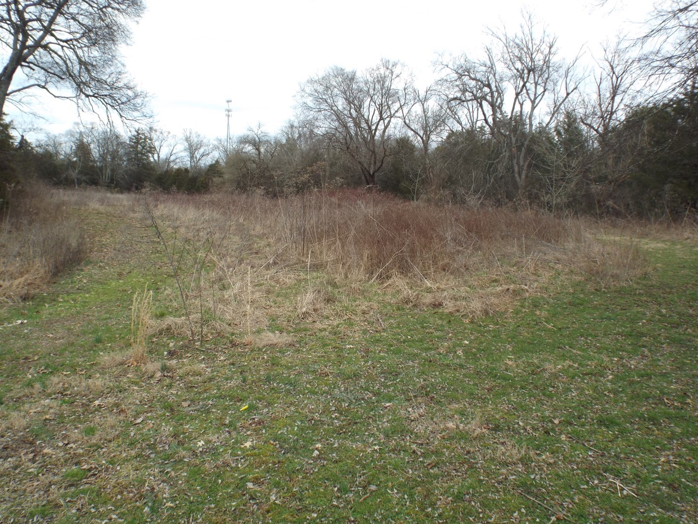 6294 Snail Shell Cave Road Rockvale, TN 37153 - Photo 19 of 26